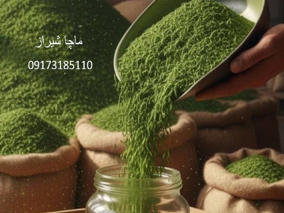 ماچا در شیراز