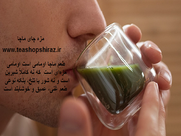 مزه چای ماچا